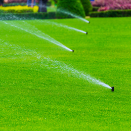 Lawn Sprinkler Spaying Water Over Green Grass